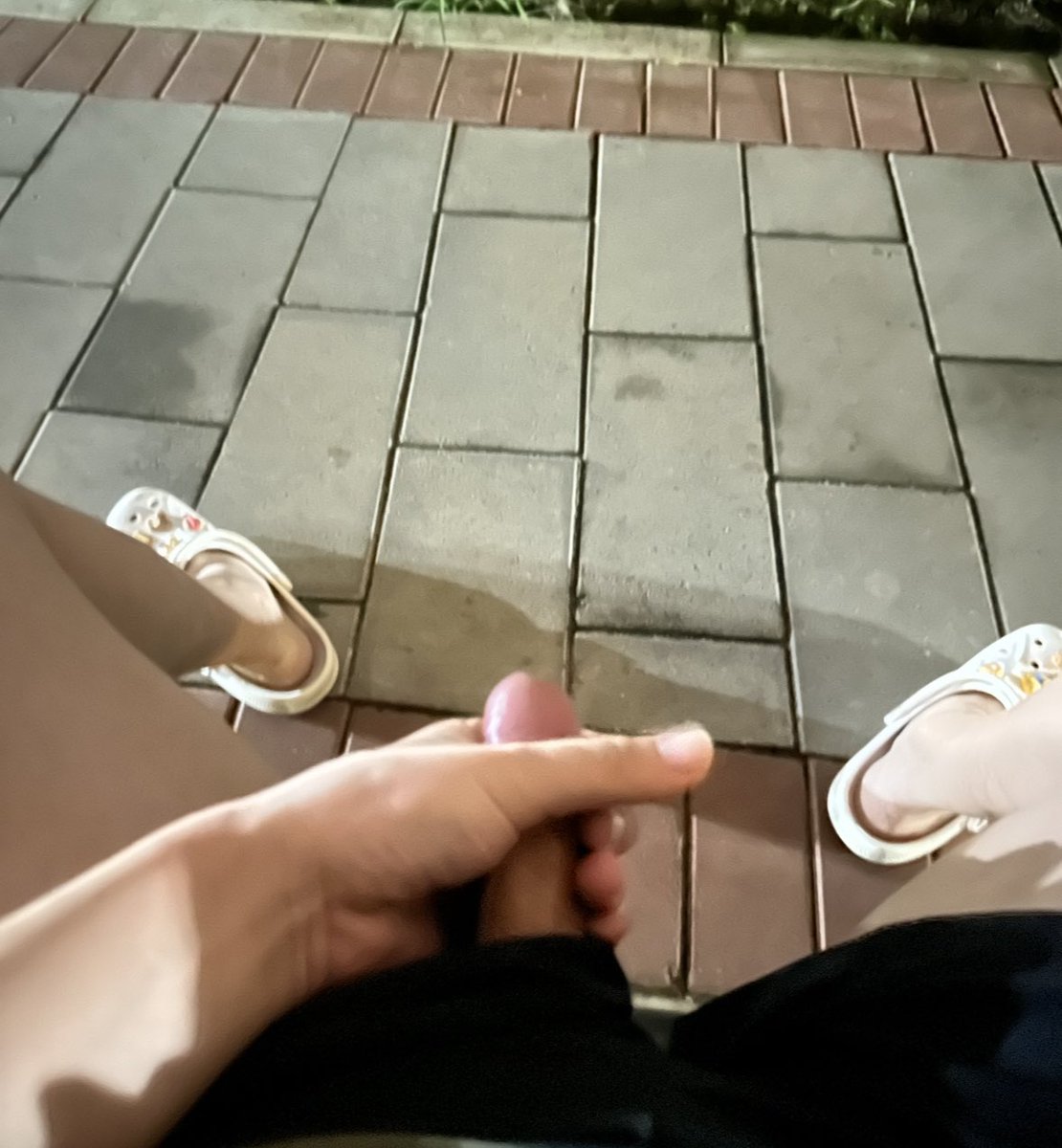 DuduVitto's tweet photo. 溜溜鸟 https://t.co/4VM5ejH0ah