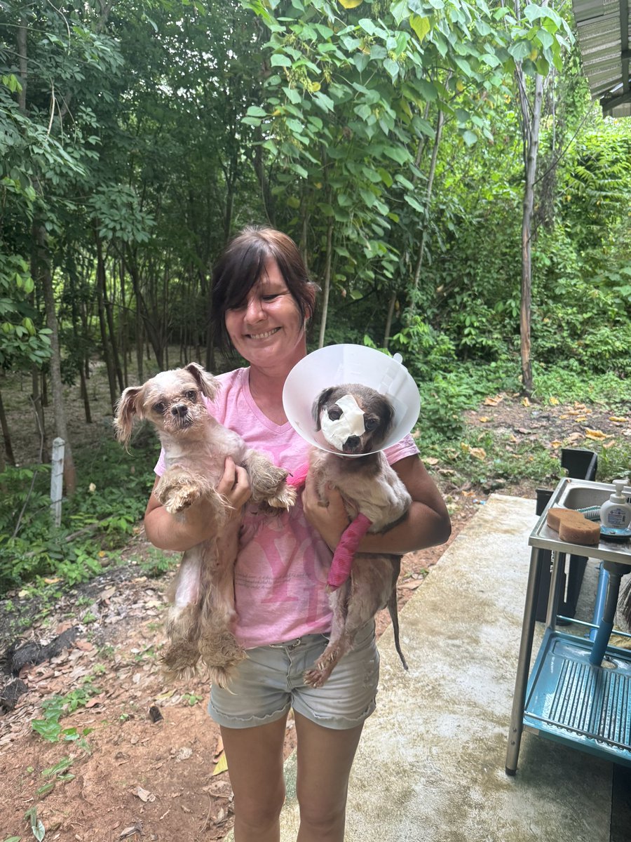 NiallHarbison's tweet image. The boy is Phoenix as he will rise back up. And the girl is Faith. 

I don’t have answers on how they got like this yet. All we could do was focus on changing the 2 lives. A good start but lots more to do 🥰🙏

They are free now and resting up together in my office 
 (7/7)