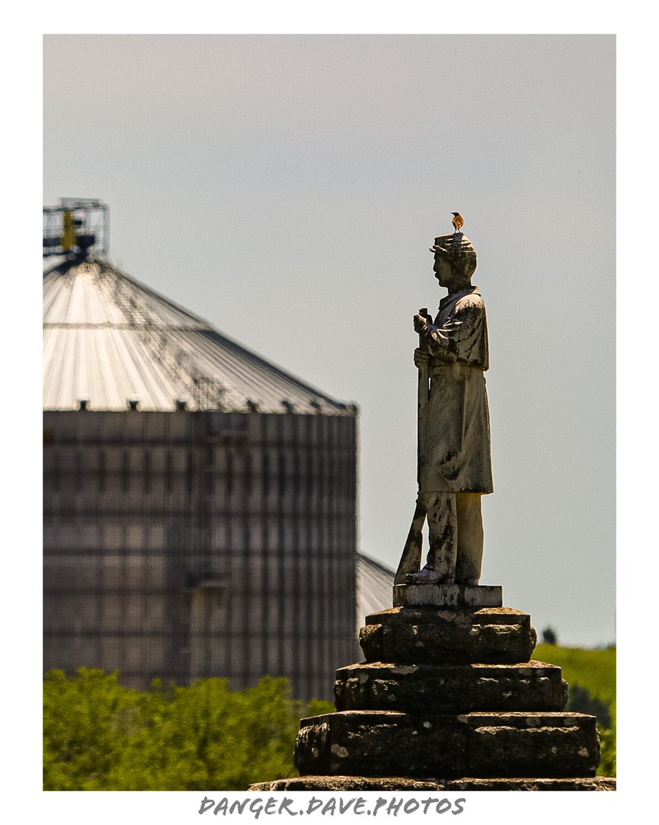 DangerDavePhoto's tweet photo. Eastern Starling. Frankfort Kansas Cemetery. Marshall County.
๐ธ๐ฆ๐ชฆ
#kansas #cemetery #starling #photography #kansas #kansasphotos #glorytogod #frankfortks #photographer #marshallcounty #teamcanon #canonphotography #kehcamera #400mm https://t.co/3sbhIQabJC