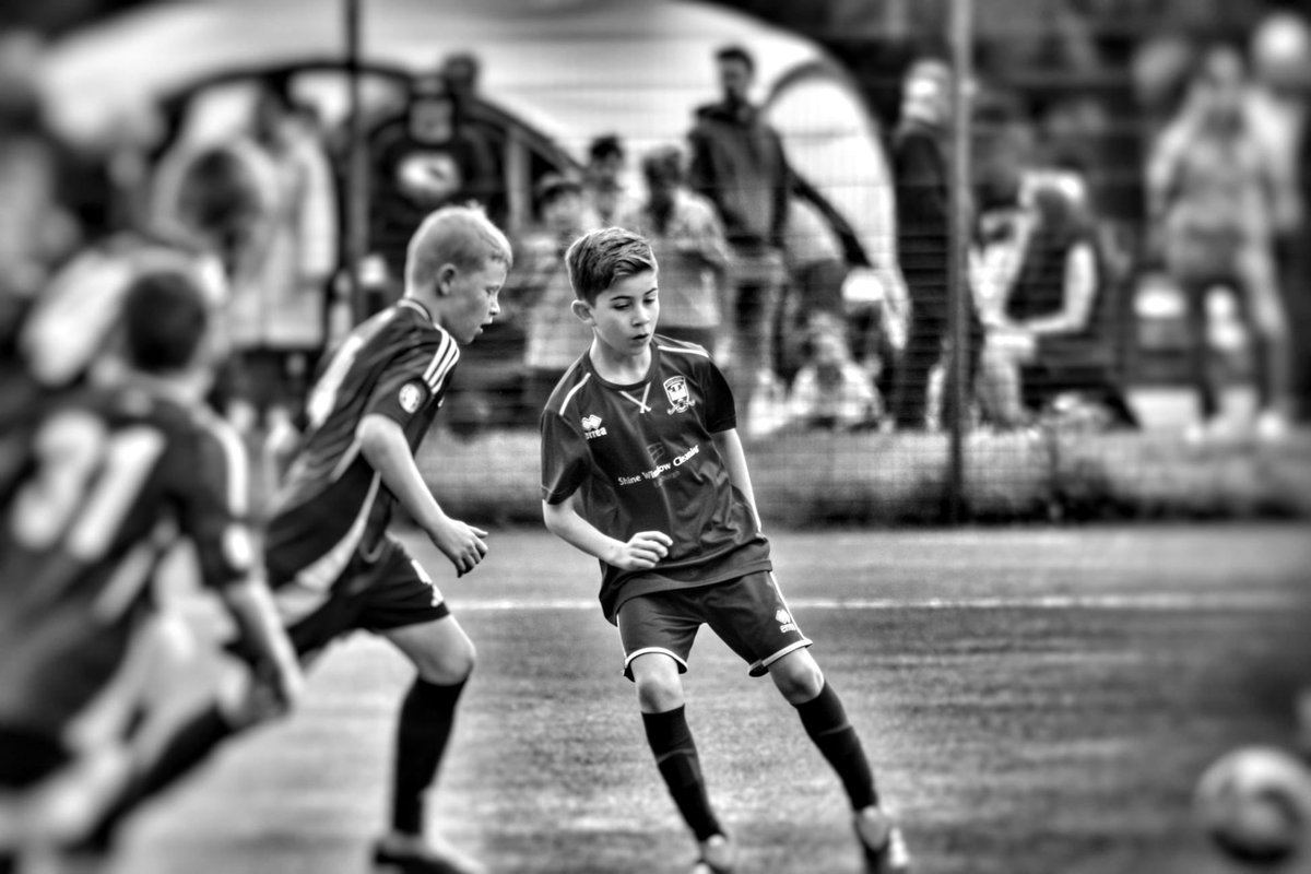 Tynecastle 2014’s (@tynecastle2014s) on Twitter photo 