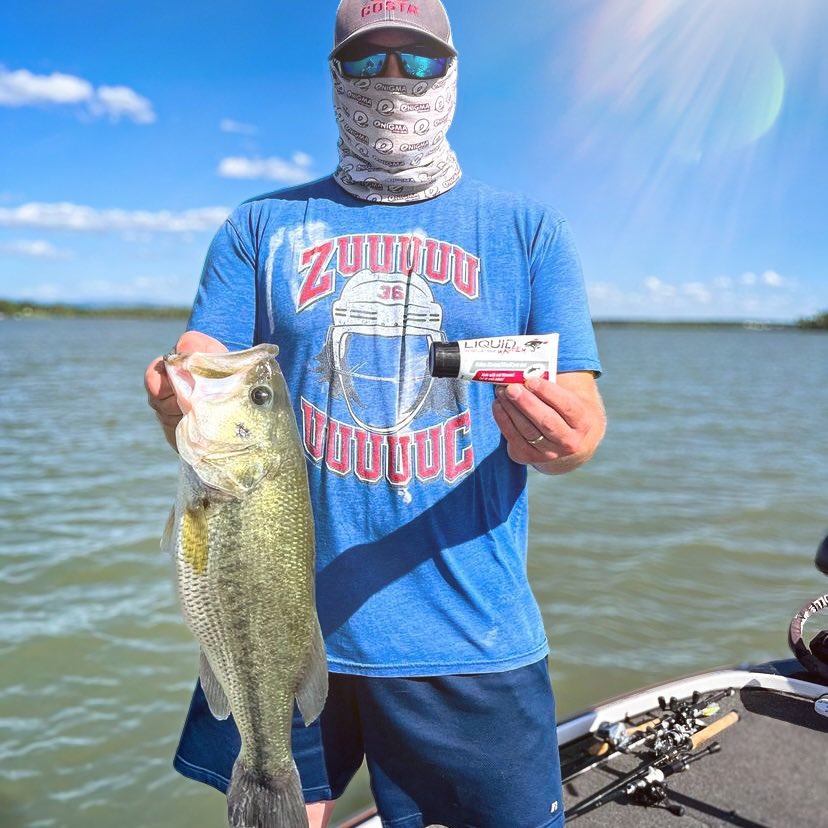 Liquid Mayhem tweet media