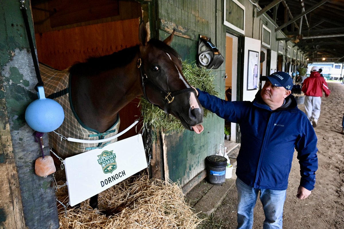 ©Skip Dickstein tweet media