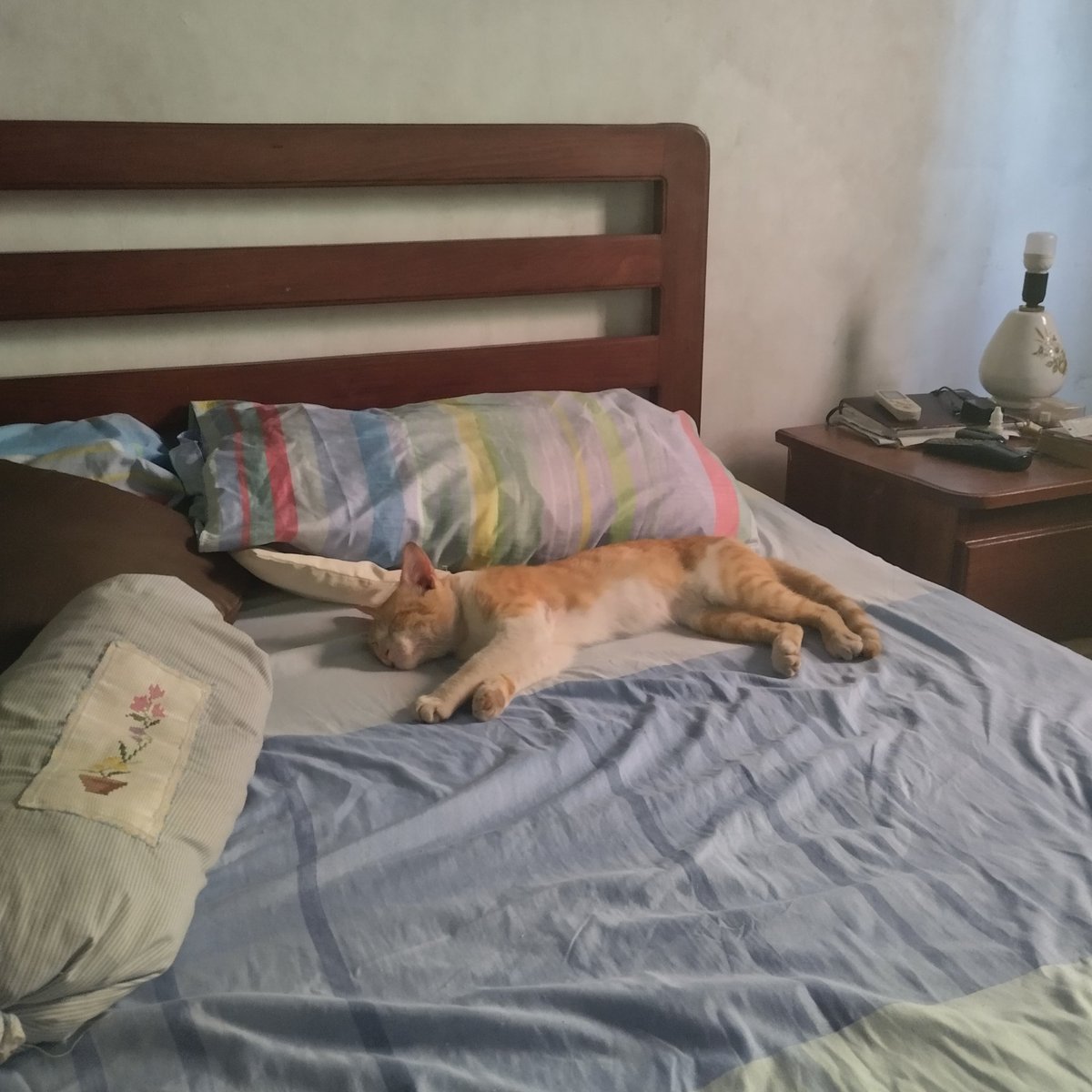 daibakusatsu's tweet photo. Duerme como si lo hubiesen explotado laboralmente https://t.co/Nm3JUoyk03