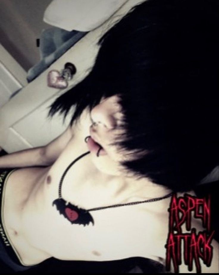 Shylo!!! tweet media