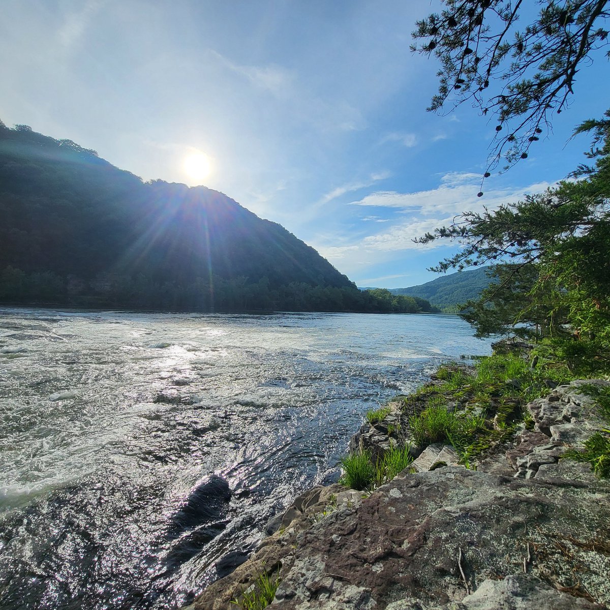 Mrs. House's Class tweet media