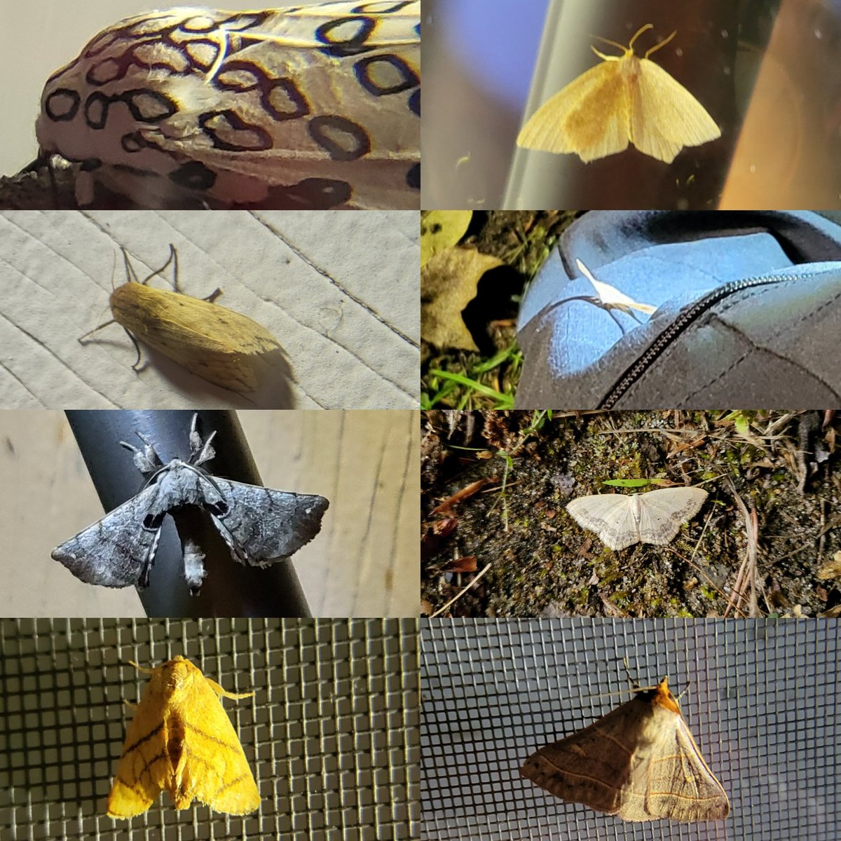 Mrs. House's Class tweet media