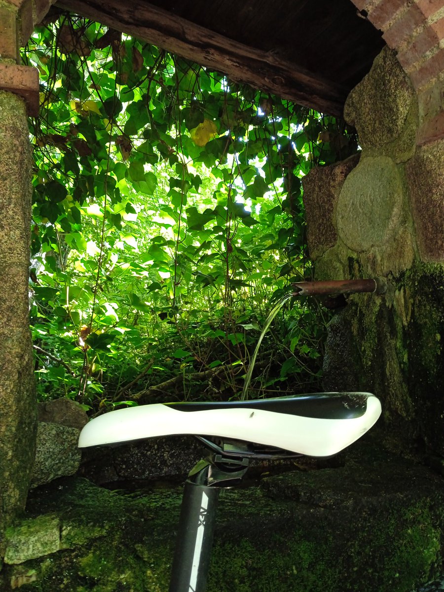 #LaVera es un regalo a nuestros sentidos, disfrutando de sus colores y aromas del silencio roto por una primavera exuberante. Garganteo, cascadas, robles centenarios, Un ruta por los rincones más verdes e impresionantes de mi pueblo.  #VillanuevaDeLaVera <a href="/extremadura_tur/">Extremadura Turismo</a>