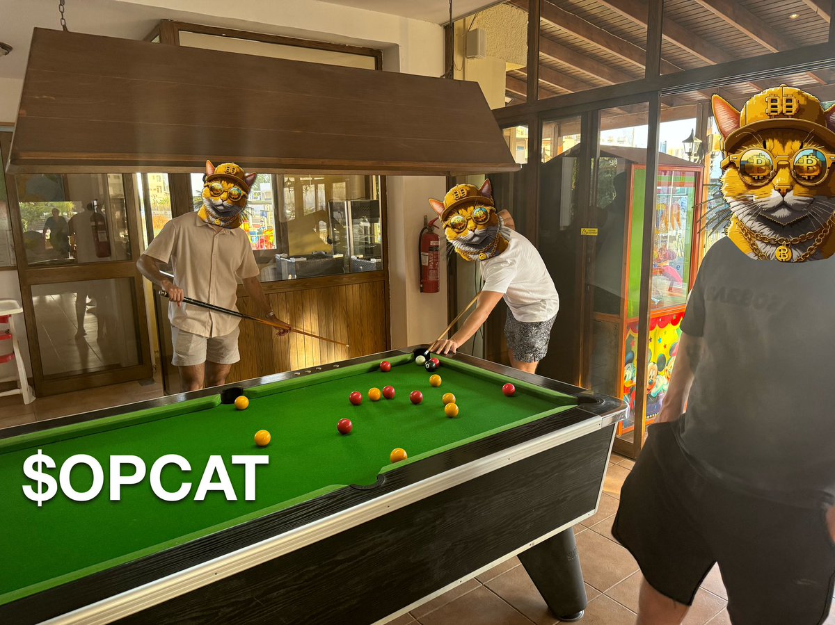 LeoNakamotoo's tweet photo. @TheDonOfApes $OPCAT sir!

We are working on this project for 5 months now! 
And me and some community members flew to the dev of @OfficialOpcat to work side by side with him!

It was amazing and we are ready to send this!
#SatoshisCat https://t.co/nDa9haXLzS