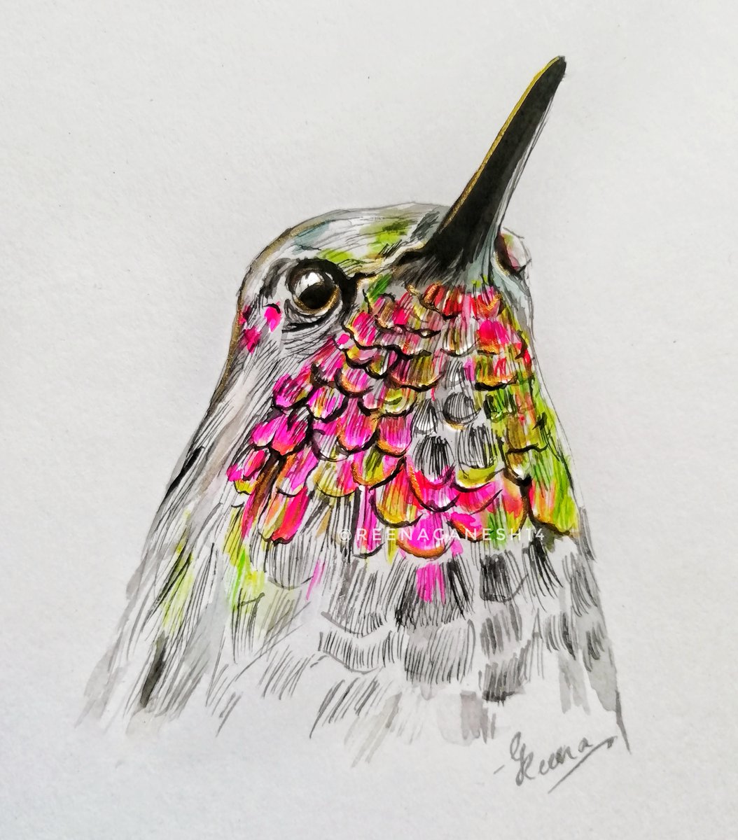 Reenaganesh14's tweet photo. Hi all! Excited to share my latest vibrant, colorful painting as starting my account🐦 . Hope you all enjoy this burst of color as much as I enjoyed painting it! #reenaart #artpiece  #colorful #birdlovers https://t.co/j2OSy0MmVB