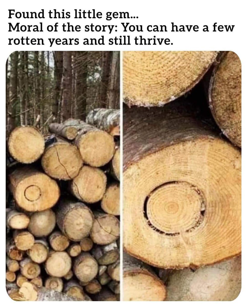 Science girl tweet media