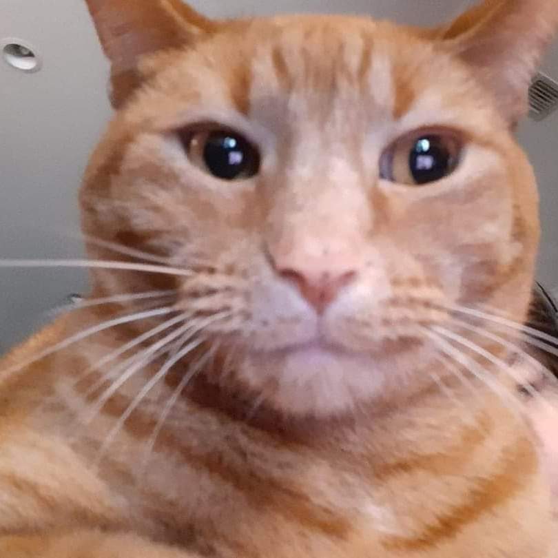 Abellcymeg's tweet image. Mi reacción cuando veo mi celular en top de peores celulares: