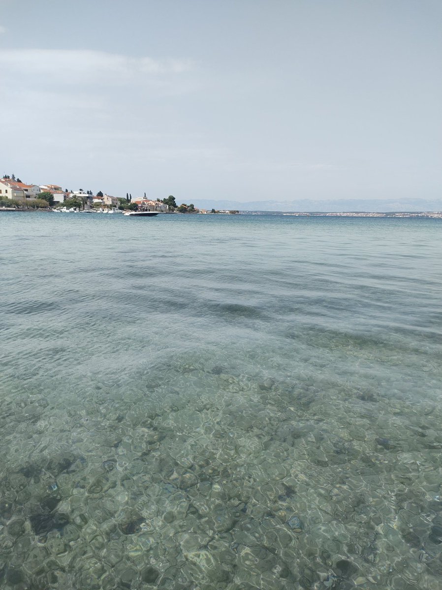 BarCastanares's tweet photo. Estoy en una islita divina de Croacia, las chicas de los costados se trajeron agua y un cambio de maya, en cambio yo de sm, playera vieja de santa Teresita me traje mate, 1/2 pizza, un sándwich que me robe en el desayuno del hostel, agua y fruta... https://t.co/GNdfGVlusJ