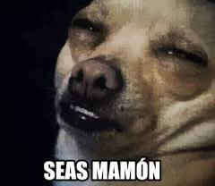 Quieres pelear en UFC y no vienes los días de Sparring