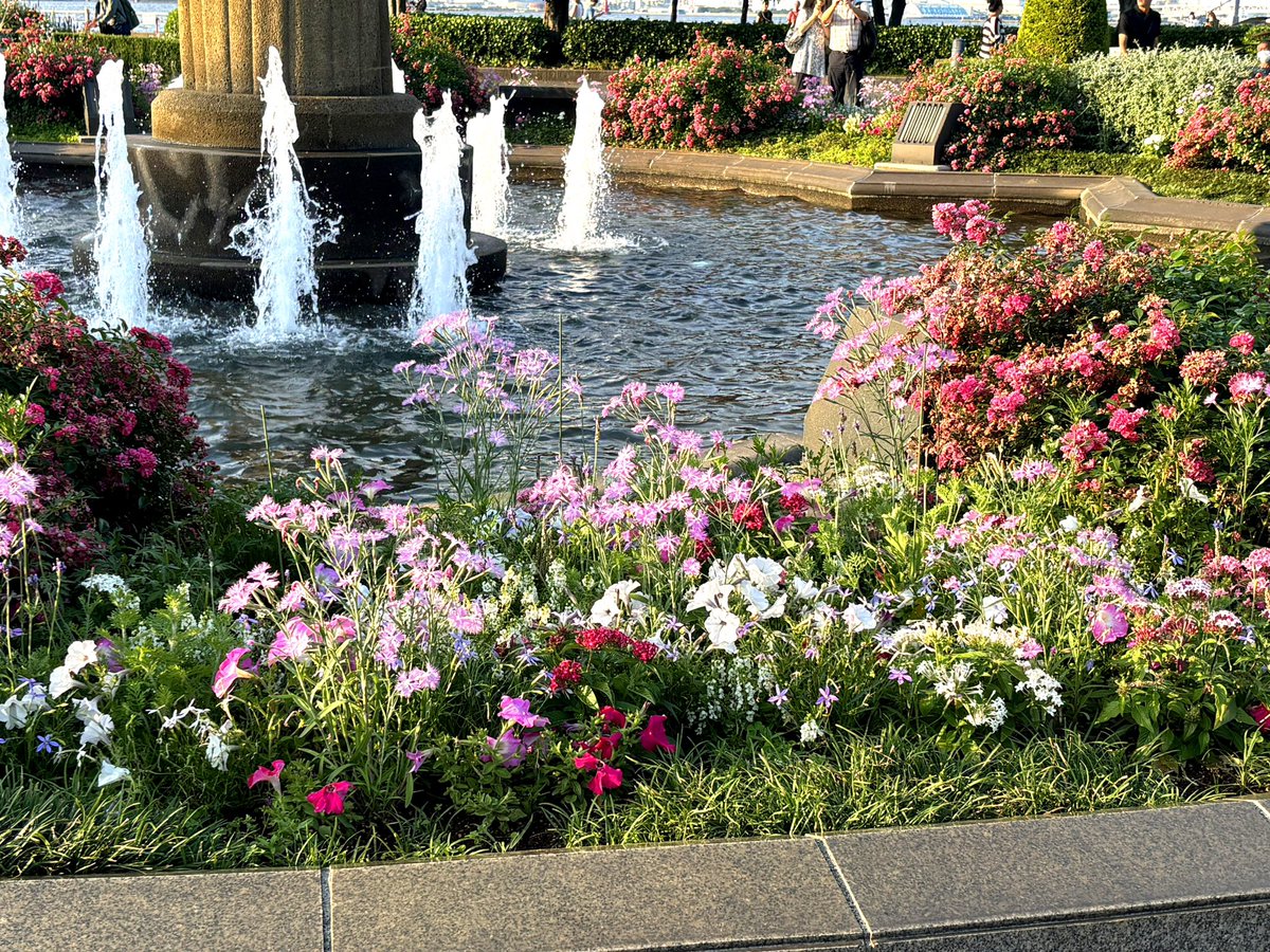 「横浜でヌンティーしてお花と夜景見てきましたエアキャビン(3枚目)に初めて乗った。」|コダマナオコ🐈のイラスト