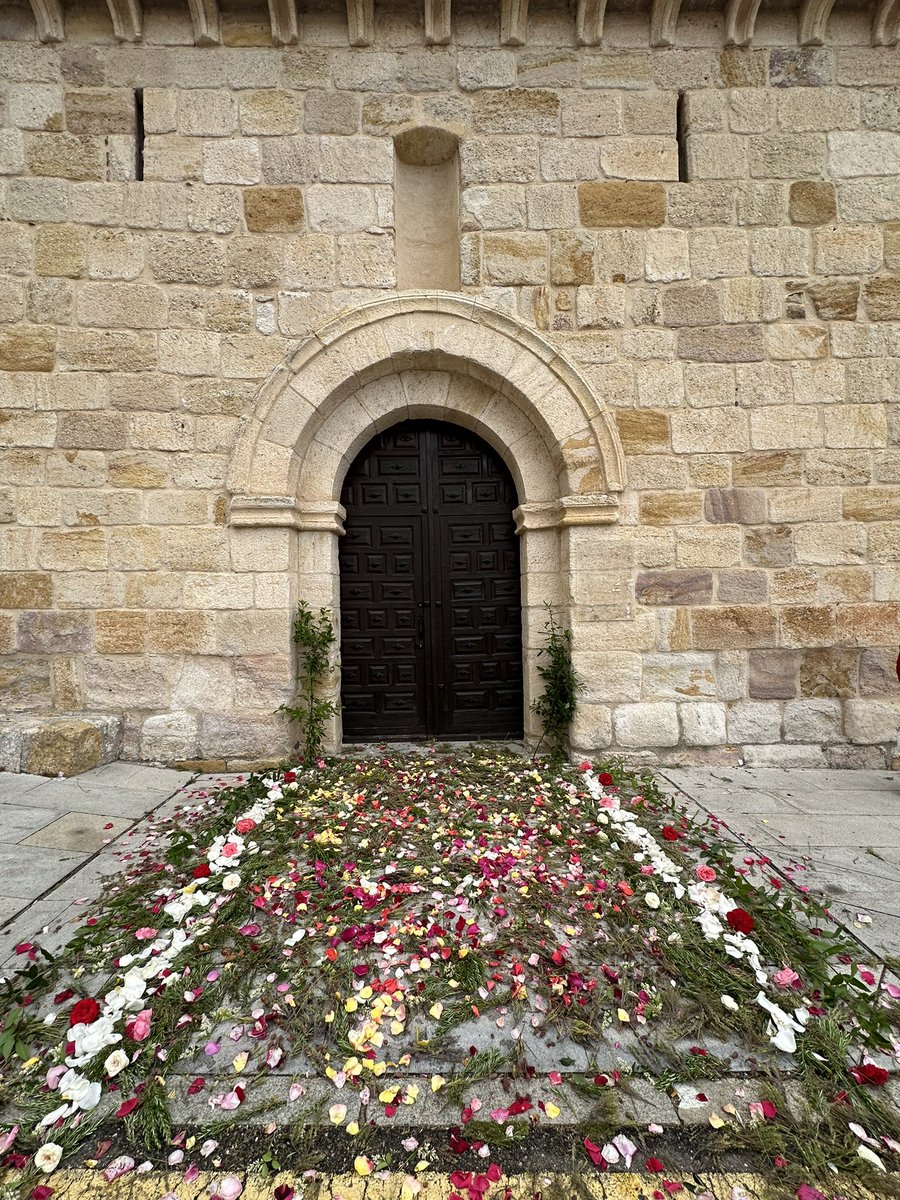 EspirituSantoZamora tweet media