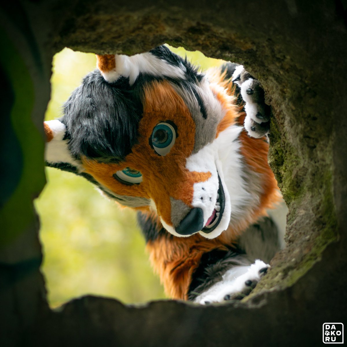 Helloo 🙃😜
I can see you 😁

📸 by <a href="/Furball_Dakoru/">🐺🐾 Dakoru 🐾🐺</a>