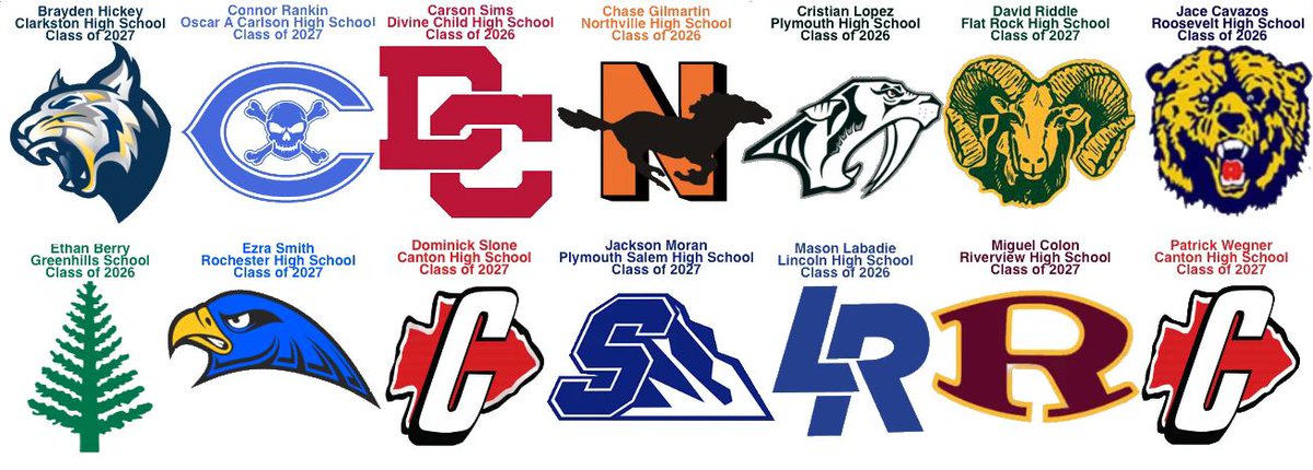 Detroit Bees Baseball 15U tweet media