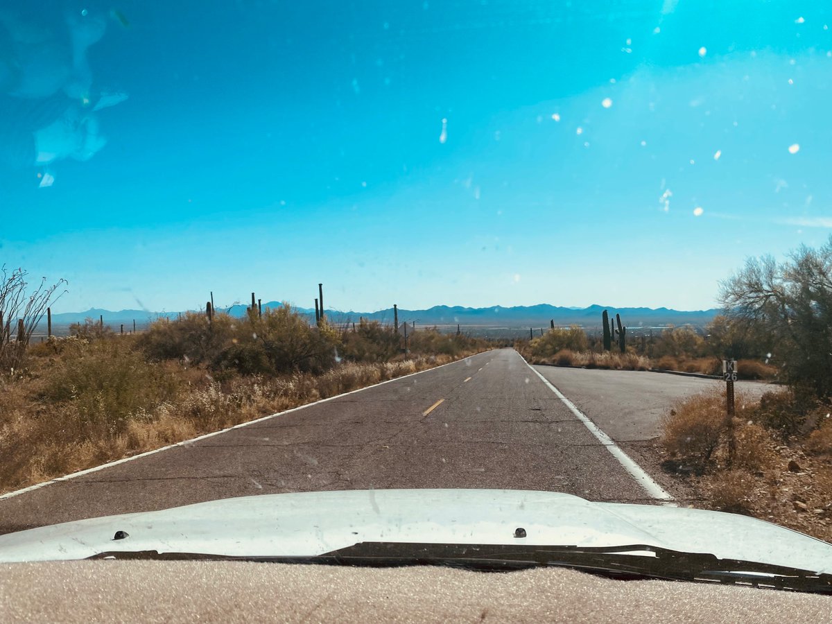 I was in the desert for a few weeks, the Catalina mountains and then Sonoran Desert. I’ve always known that where I grew up was magic. But going back it’s always reaffirmed. An endless feeling of possibility, the determination of life, the bright tremendous heat—relentless sky.