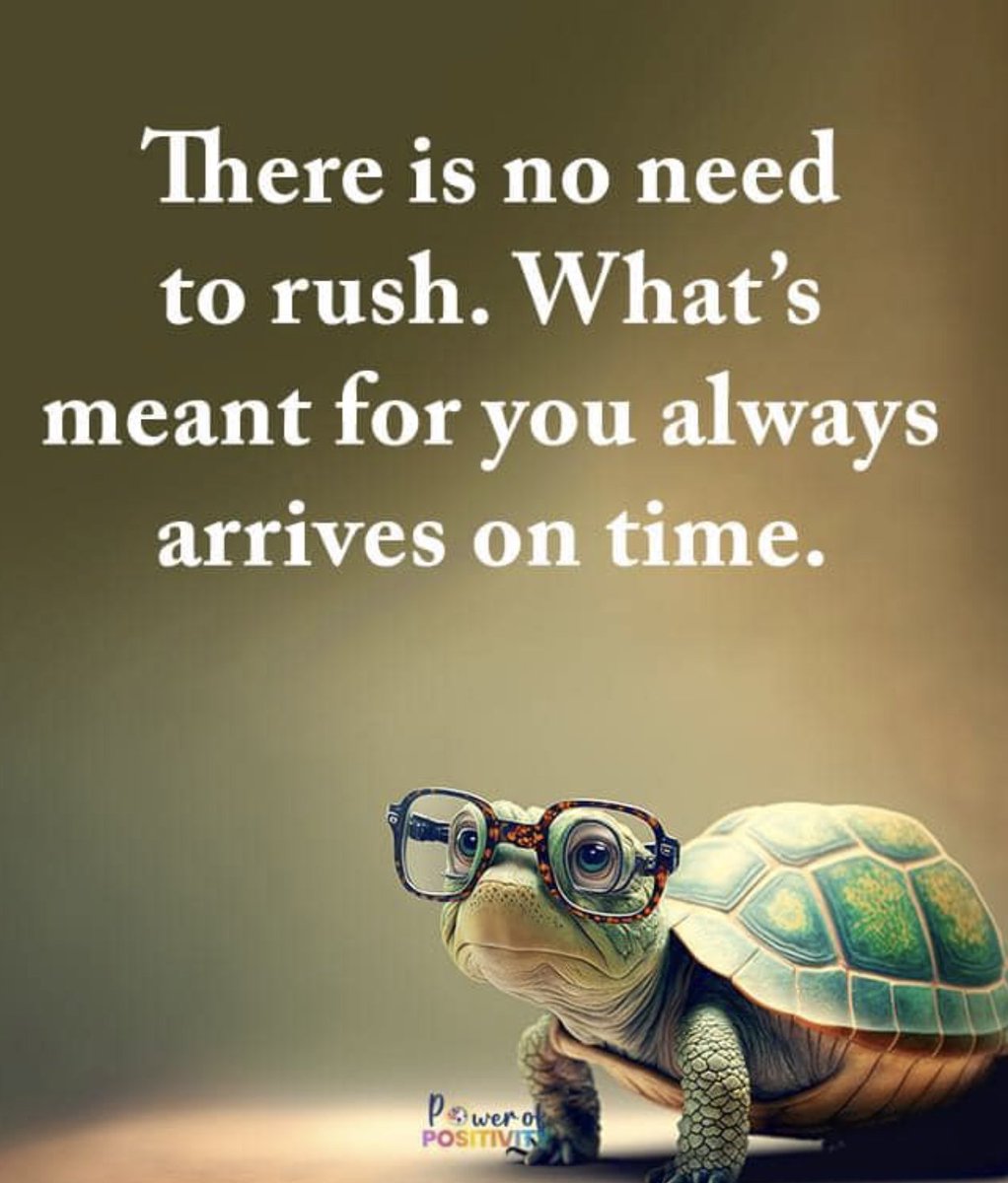 maictrott's tweet photo. Delays are inevitable and necessary, so why should I rush? What is meant for me will always come in its own time. #ingodsperfecttime https://t.co/yod2qeYuzs