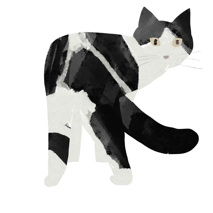 고양이 드로잉 