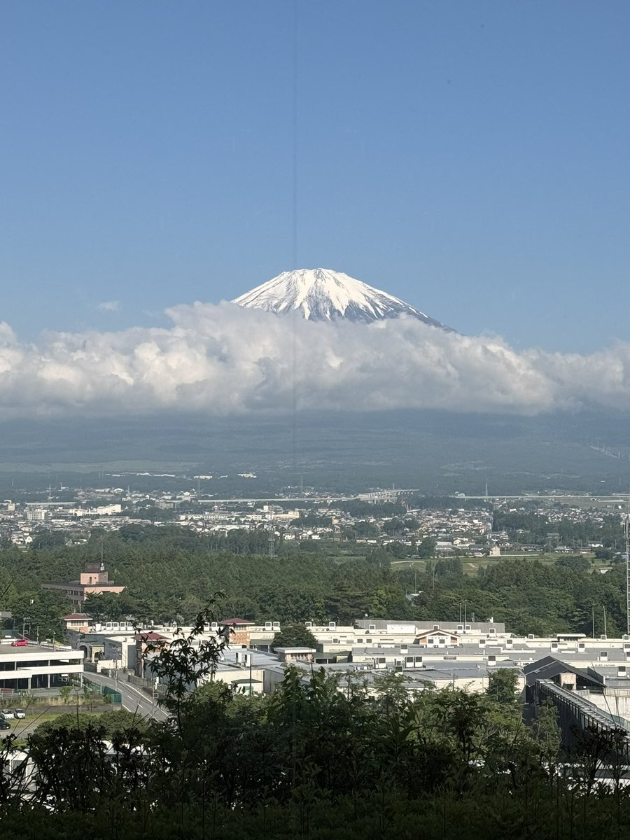 Sam Green tweet media