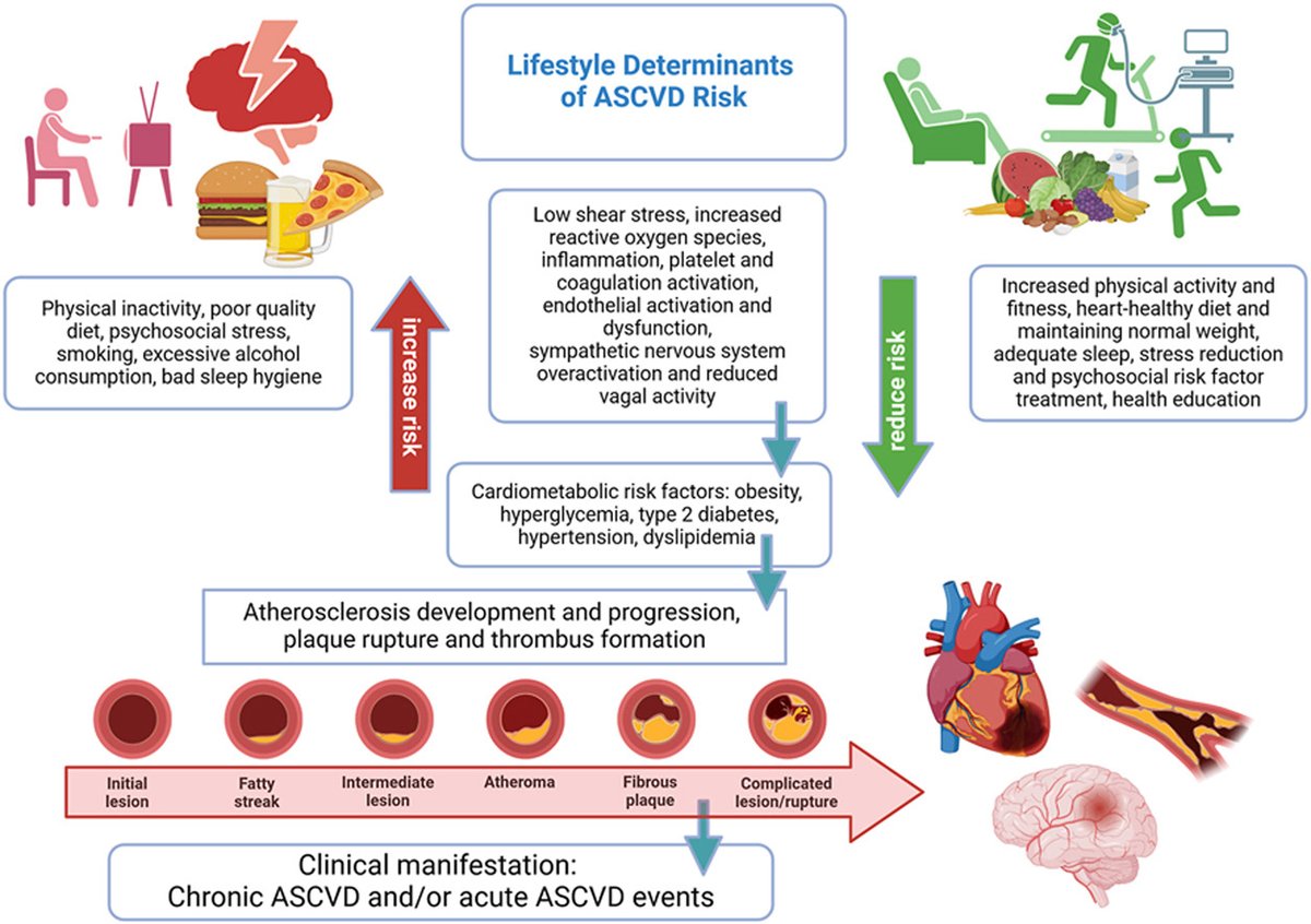 This comprehensive review synthesizes current evidence from large observational studies and randomized controlled trials on lifestyle factors as determinants of ASCVD health
🔗atherosclerosis-journal.com/article/S0021-…
<a href="/society_eas/">European Atherosclerosis Society</a> #EASSoMe @ELS_Cardiology