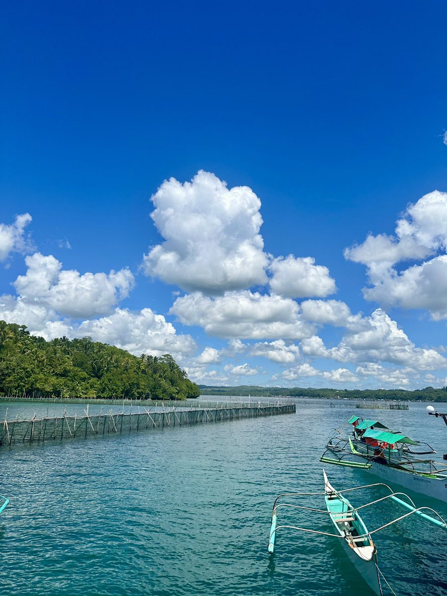 hopya.mani.popcorn tweet media