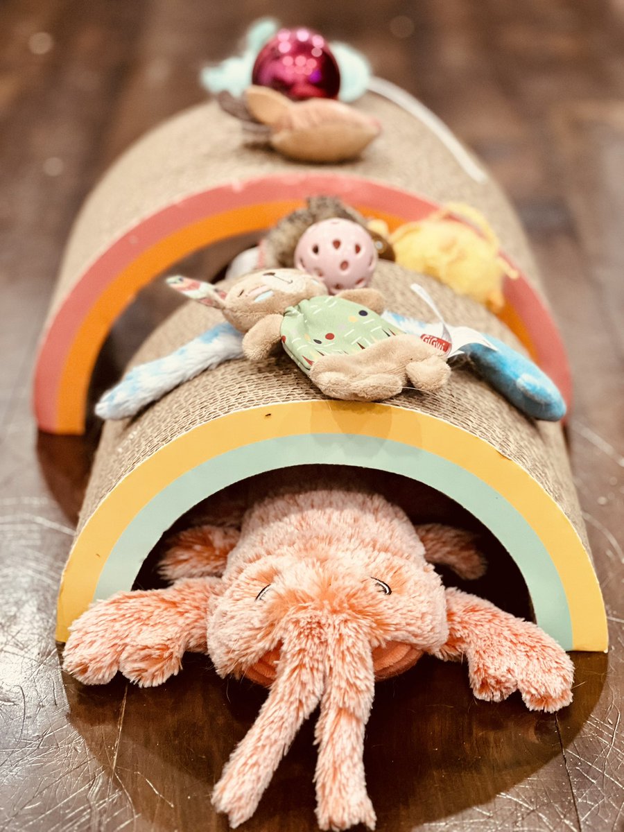 Sunday night is lit. Welcome to the lobster 🦞 tunnel of love. Yes, you’re correct, so appreciate you noticing the Christmas bauble that was stealthily hidden all this time