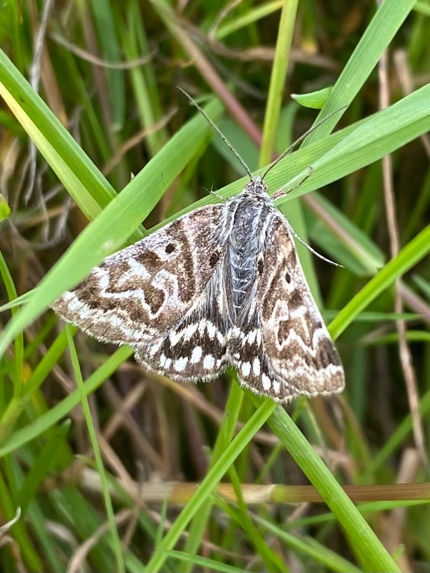 Stephen Howell tweet media