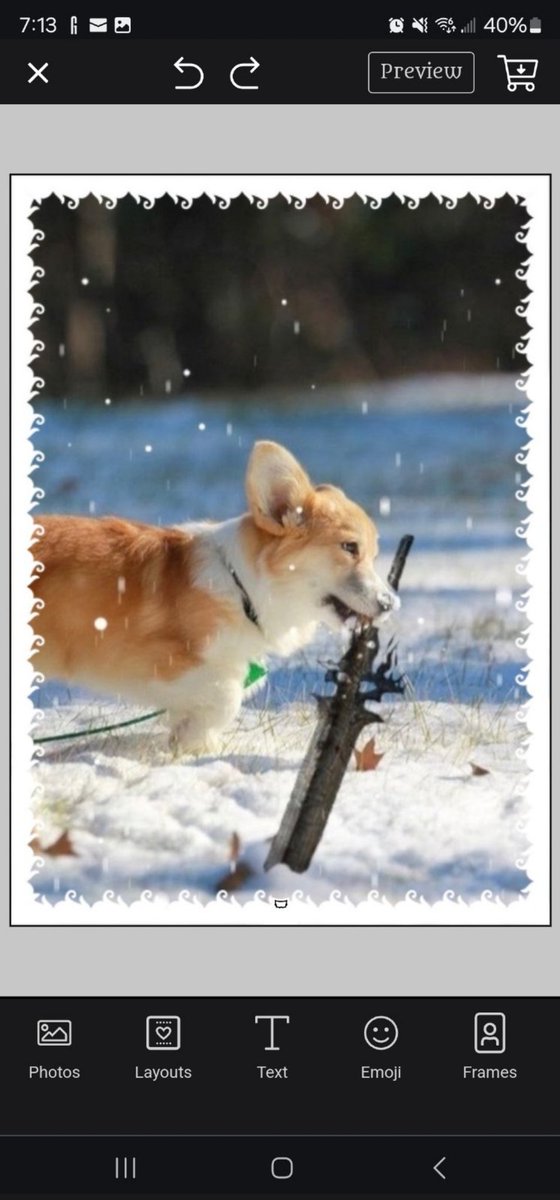 skyliner778's tweet photo. @maro254 a few months ago my dog found a stick. So I editited her into a dark souls boss, as one does. For the cats/dogs SLD I made that into sleeves. Now I got phelia, as one does for a new commander using those sleeves. I feel heard. https://t.co/IuGlcouN4X