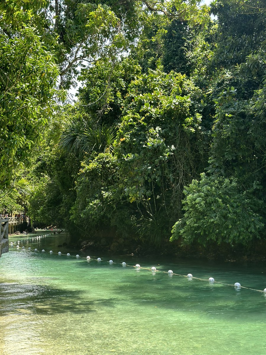 hopya.mani.popcorn tweet media