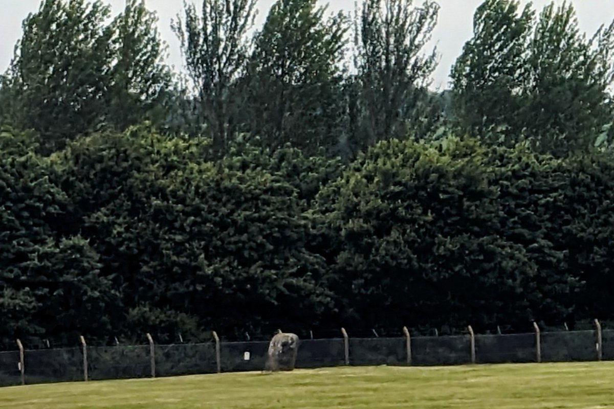 Michael_Apter's tweet photo. The Cat Stane sits within the grounds of Edinburgh Airport, on the north side of the runway close to the boundary fence. Originally part of a bronze age cemetery, it was reused early in the first or second century as a burial marker.

https://t.co/3IKs1bGeyp

#StandingStoneSunday https://t.co/h83GSEWPfz