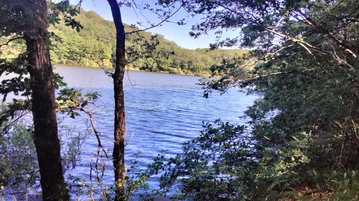 MathVrignault's tweet photo. Quel plaisir de profiter de la nature, sortie du dimanche #mervent #nature 13km pour le plaisir https://t.co/bXXsEotCQW