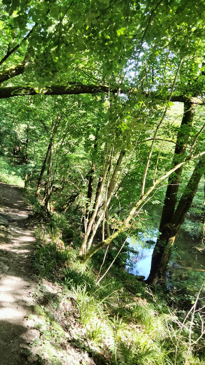MathVrignault's tweet photo. Quel plaisir de profiter de la nature, sortie du dimanche #mervent #nature 13km pour le plaisir https://t.co/bXXsEotCQW