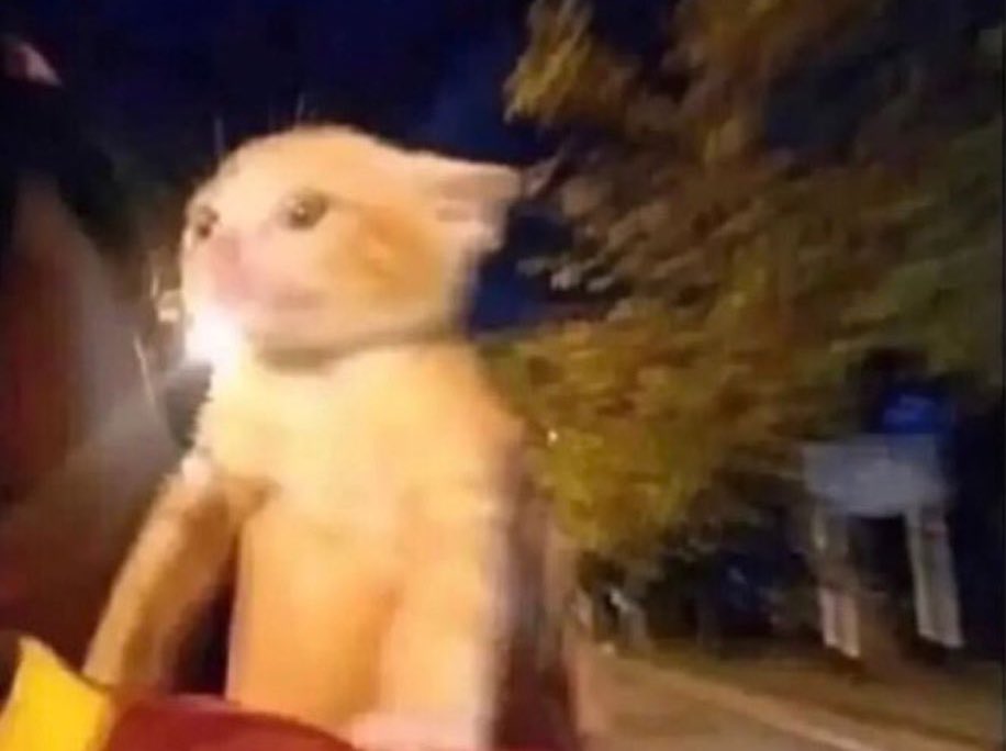 bhai cricket ki dunya se kahin dur le jaa