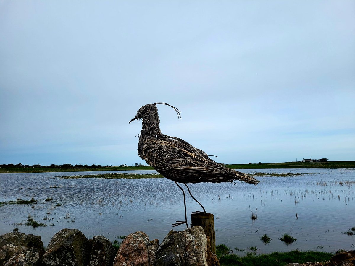 TherapyMcCready's tweet photo. "When I slow down the world doesn’t collapse. When I slow down I come back to myself, to my humanity, to my ability to listen and connect. And the same is true for all of us" ~ Jan Fortune
#slowdown #listen #connect #mccreadycounselling https://t.co/EZP3by6qk8