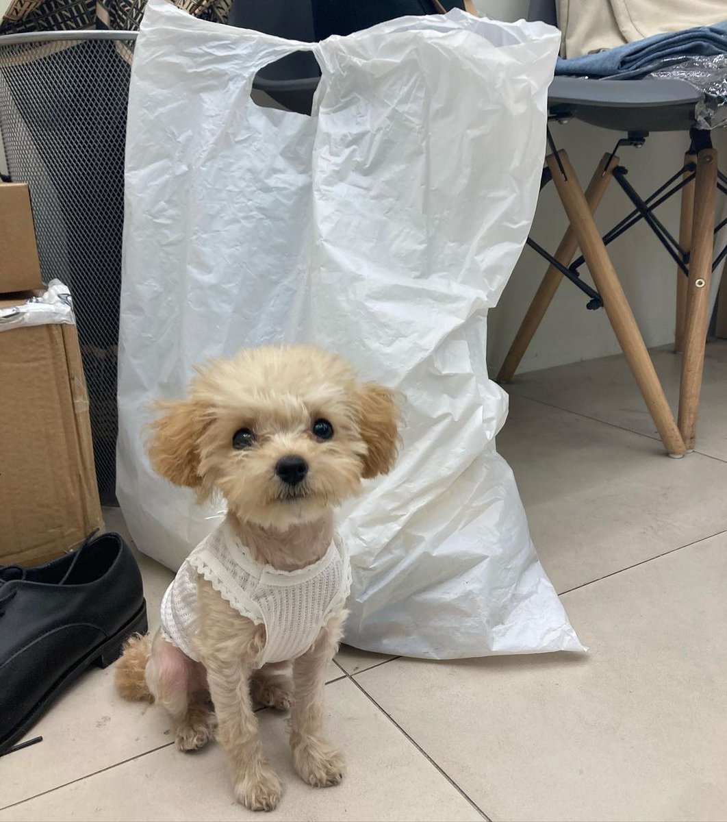 Anne77Che's tweet image. I love to go this place because of this lil guy. He's my lil darling. 💕