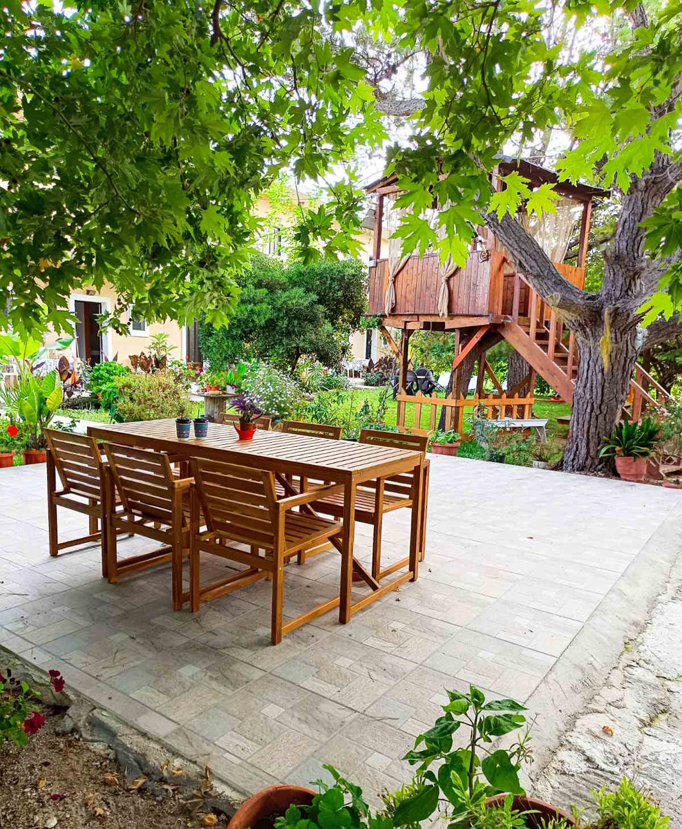 gongisstudios's tweet photo. Embracing the tranquility of Gongis Studios 🌳💐🌺
🔗  https://t.co/qCUUE5fch6
#gongisstudios #corfu #travel #greece #june #summer #treehouse https://t.co/YJ9QwEUohu