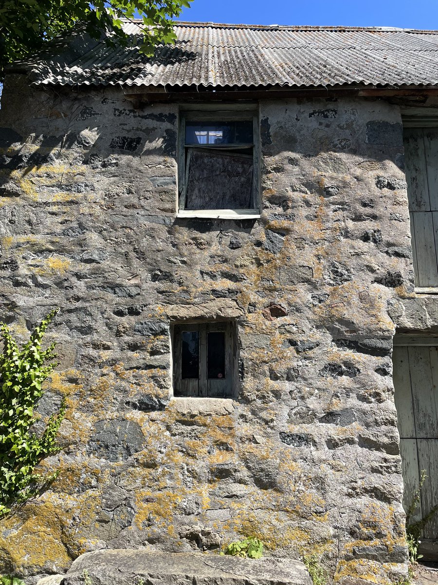 OllieGoddardGsy's tweet photo. W is for Windows

One more W to come…have caught up on my W tardiness this week!

#WeekW #AlphabetChallenge https://t.co/Miv3plmRmi
