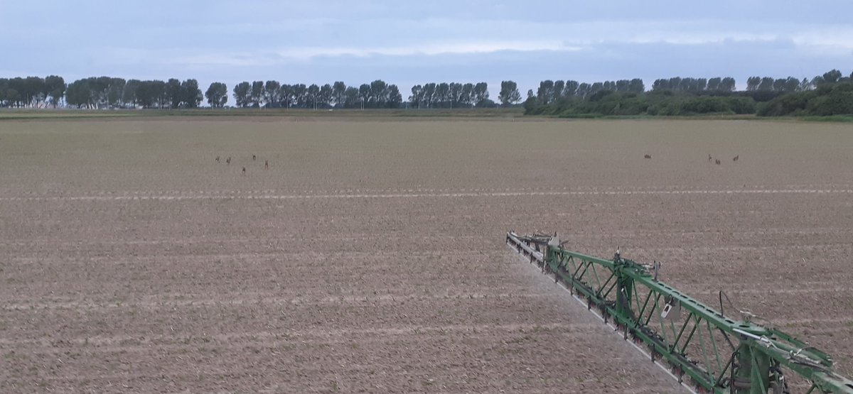 De familie #haas heeft het hier prima naar z'n zin #metjerodelijst 🙄