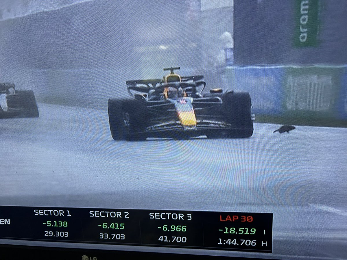 Why did the Ground Hog cross the road? <a href="/F1/">Formula 1</a> <a href="/TSN_Sports/">TSN</a>