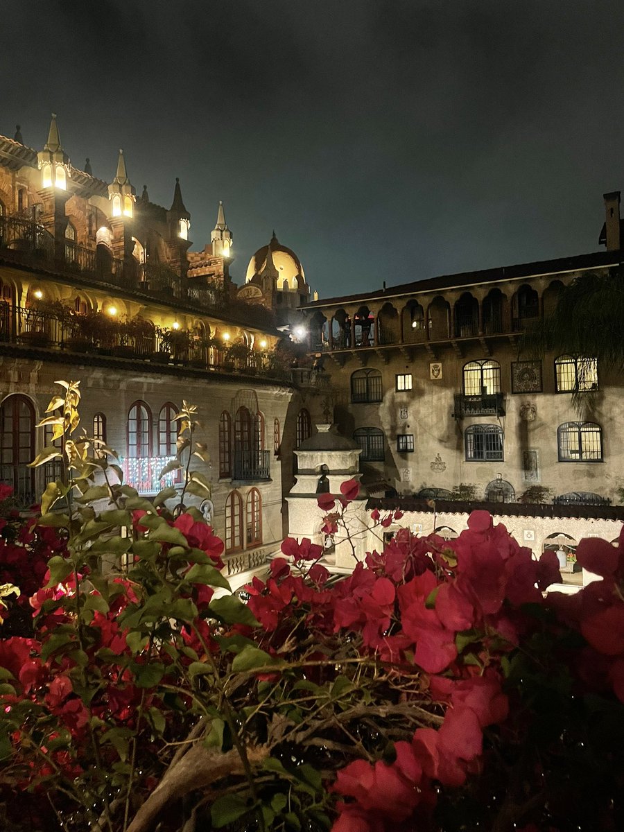 JustUsNeverDies's tweet image. Last Night. #MissionInn