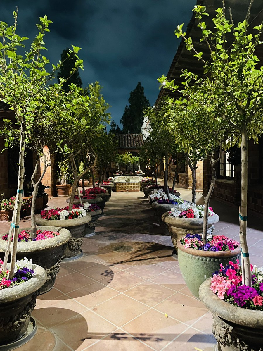 JustUsNeverDies's tweet image. Last Night. #MissionInn