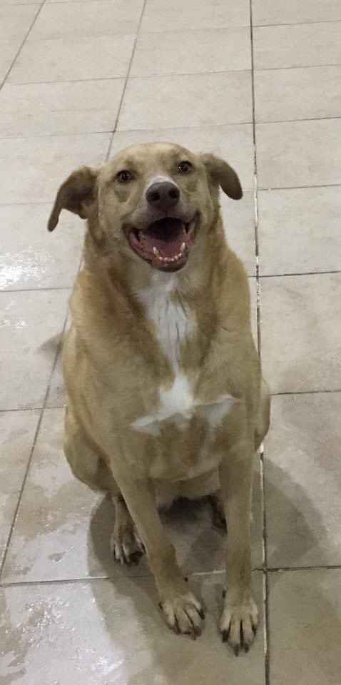 Gülüşünüze kurban..