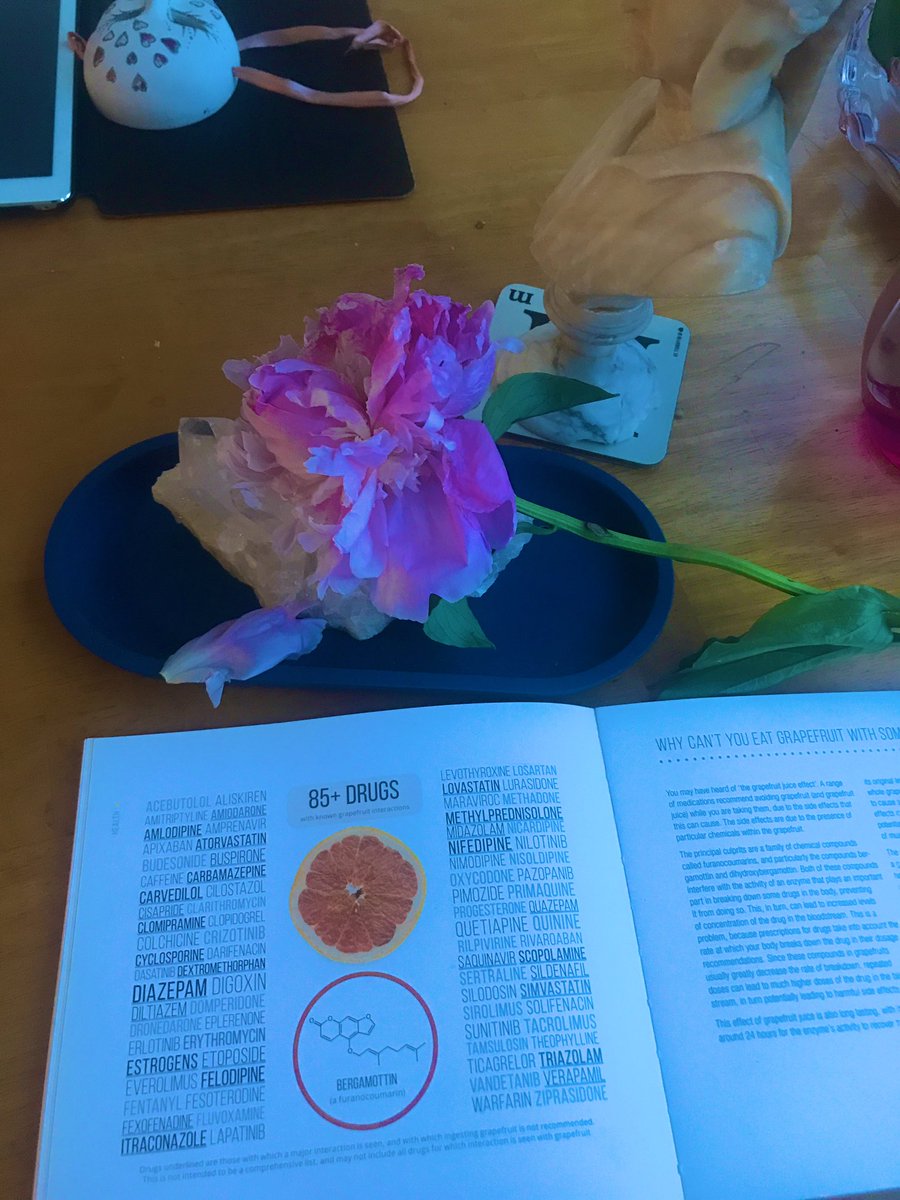 MarilenaMunaro's tweet image. Natural does NOT mean .. Safe. 💊 🍋 🧫 #Grapefruit #Pamplemousse 🏥 🦠 🥼