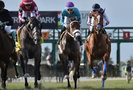 lotohipico's tweet photo. #DOMINGO #Junio09. 2024. #GulfstreamPark #AMERICANAS #hipismo @DerbyNoqueador
Asesoría 04248131900.
✔️SEXTA CARRERA: 6 "Lance"/1.🏇👊. https://t.co/usABikq6qk