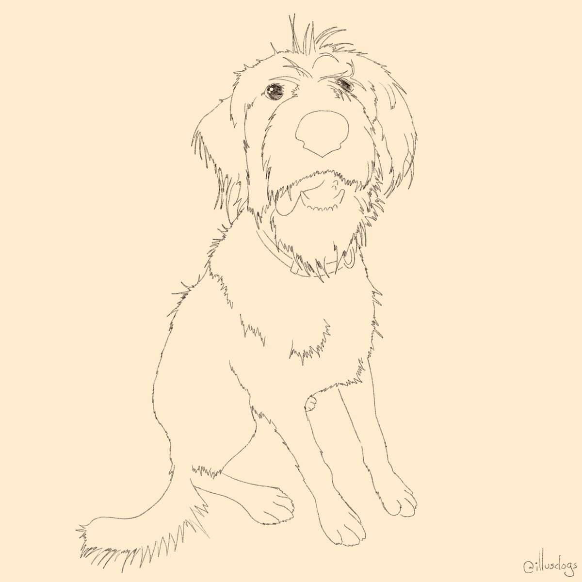 Illustrated Dogs tweet media