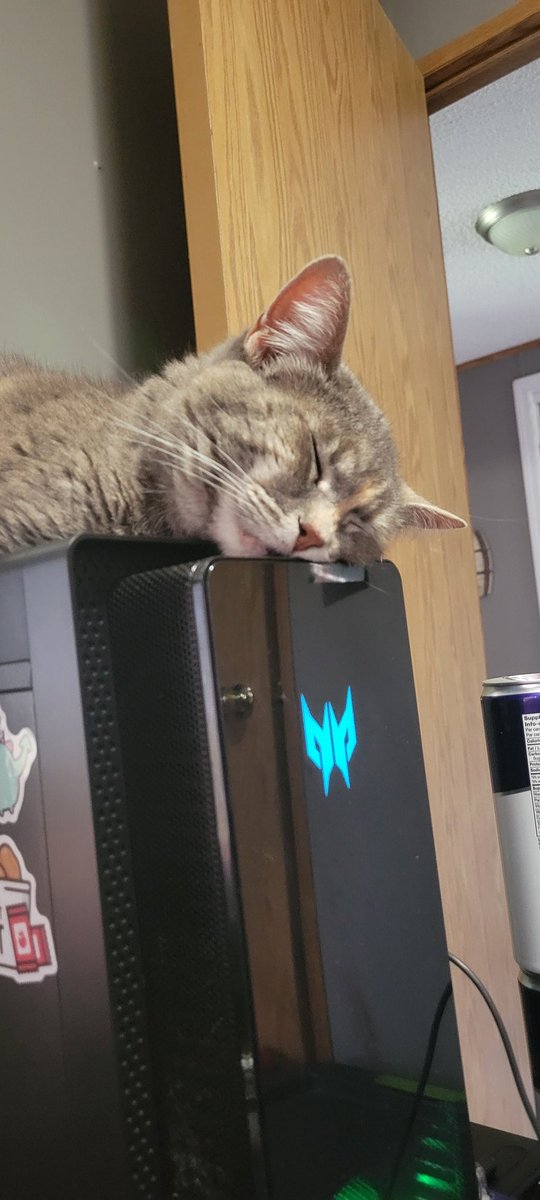 RunePawGames's tweet photo. Oogie had a hard day doing cat stuff and needed a nap. 🥺 https://t.co/dXzlQ1jpRq
