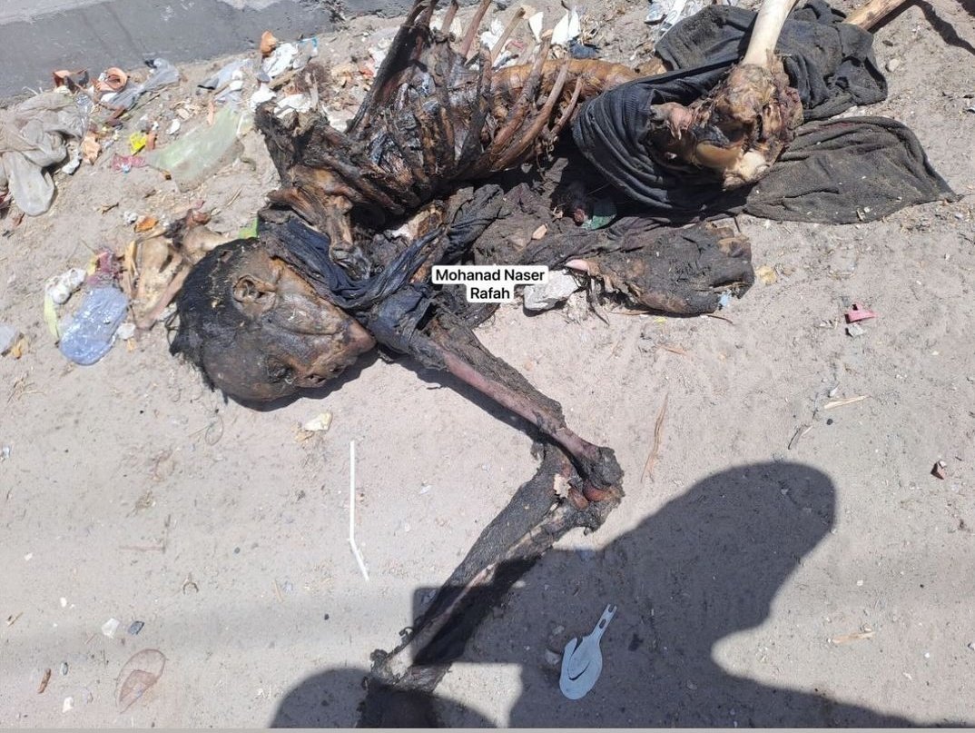 InsiderWorld_1's tweet photo. DONT LOOK AWAY!

STOP THE GENOCIDE! https://t.co/0zC8XofNs9