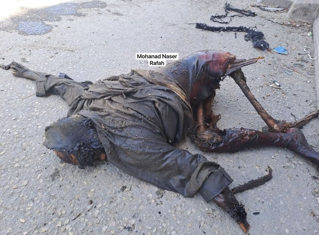 InsiderWorld_1's tweet photo. DONT LOOK AWAY!

STOP THE GENOCIDE! https://t.co/0zC8XofNs9